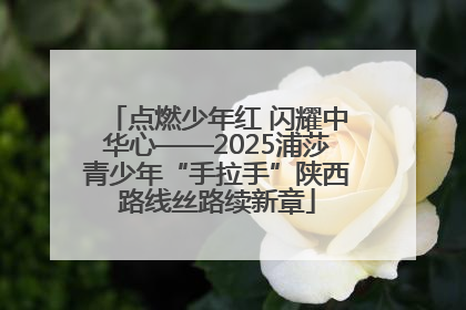 点燃少年红 闪耀中华心——2025浦莎青少年“手拉手”陕西路线丝路续新章