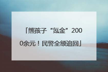 熊孩子“氪金”2000余元！民警全额追回