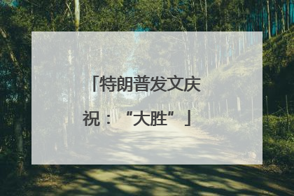 特朗普发文庆祝：“大胜”