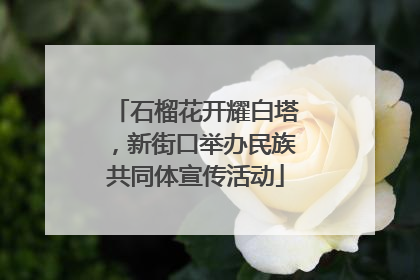 石榴花开耀白塔，新街口举办民族共同体宣传活动