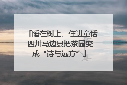 睡在树上、住进童话 四川马边县把茶园变成“诗与远方”