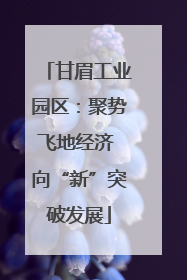 甘眉工业园区：聚势飞地经济 向“新”突破发展