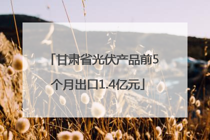 甘肃省光伏产品前5个月出口1.4亿元
