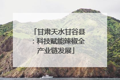 甘肃天水甘谷县：科技赋能辣椒全产业链发展
