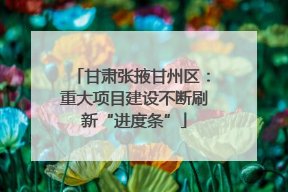 甘肃张掖甘州区：重大项目建设不断刷新“进度条”