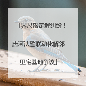 界尺敲定解纠纷！唐河法警联动化解邻里宅基地争议