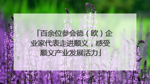 百余位参会德（欧）企业家代表走进顺义，感受顺义产业发展活力