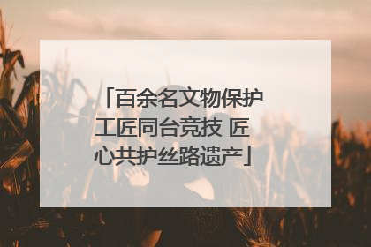 百余名文物保护工匠同台竞技 匠心共护丝路遗产