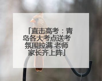直击高考：青岛各大考点送考氛围拉满 老师家长齐上阵