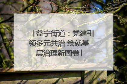 益宁街道：党建引领多元共治 绘就基层治理新画卷