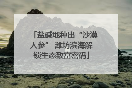 盐碱地种出“沙漠人参” 潍坊滨海解锁生态致富密码