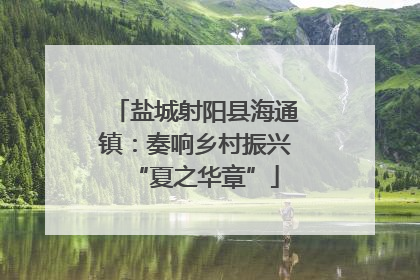 盐城射阳县海通镇：奏响乡村振兴“夏之华章”