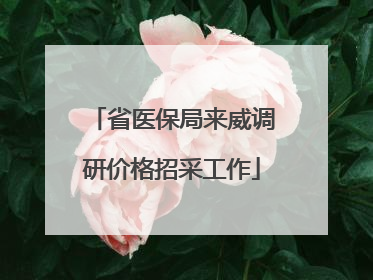省医保局来威调研价格招采工作