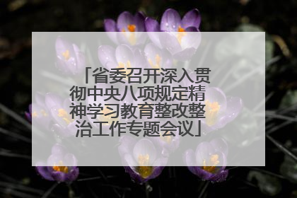 省委召开深入贯彻中央八项规定精神学习教育整改整治工作专题会议