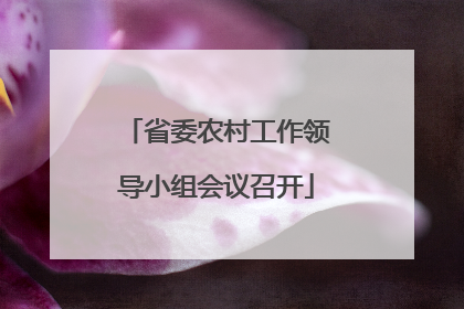 省委农村工作领导小组会议召开