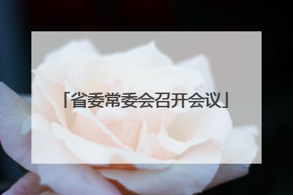 省委常委会召开会议