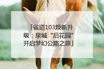 省道103焕新升级：泉城“后花园”开启梦幻公路之旅