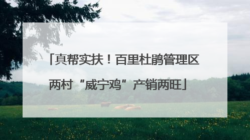 真帮实扶！百里杜鹃管理区两村“威宁鸡”产销两旺