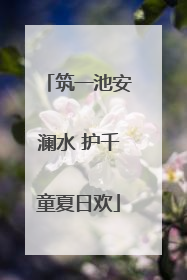 筑一池安澜水 护千童夏日欢