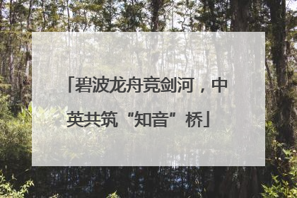 碧波龙舟竞剑河，中英共筑“知音”桥