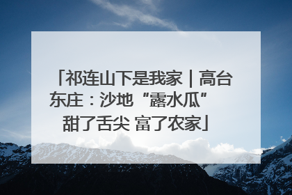 祁连山下是我家｜高台东庄：沙地“露水瓜” 甜了舌尖 富了农家