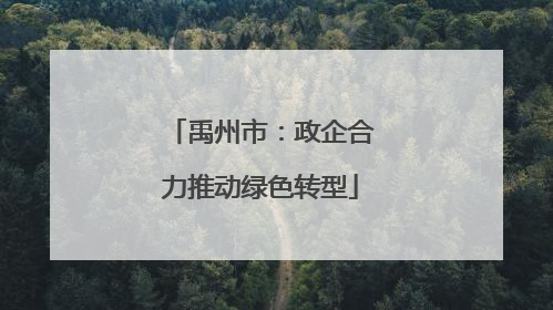 禹州市：政企合力推动绿色转型