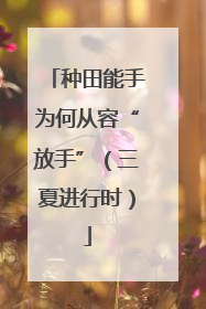 种田能手为何从容“放手”（三夏进行时）
