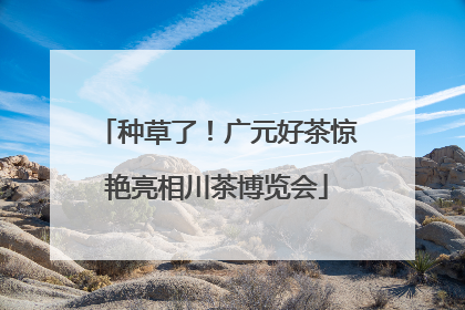 种草了！广元好茶惊艳亮相川茶博览会