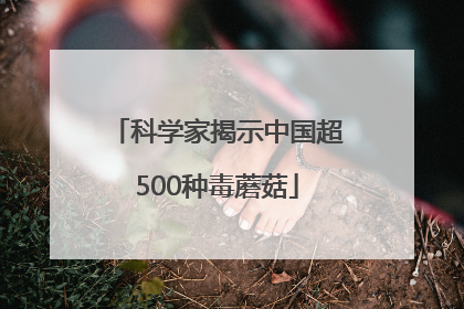 科学家揭示中国超500种毒蘑菇
