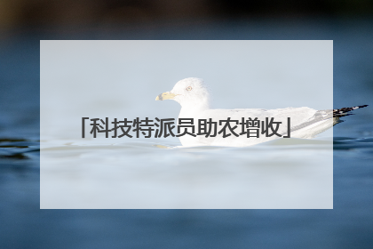 科技特派员助农增收
