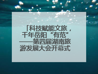 科技赋能文旅，千年岳阳“有范”——第四届湖南旅游发展大会开幕式暨文化旅游推介会侧记