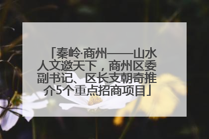 秦岭·商州——山水人文邀天下，商州区委副书记、区长支朝奇推介5个重点招商项目