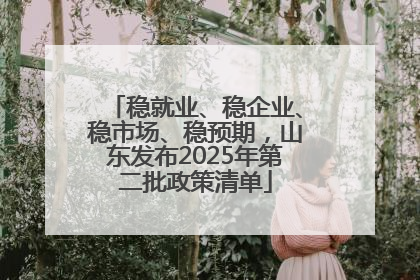 稳就业、稳企业、稳市场、稳预期，山东发布2025年第二批政策清单