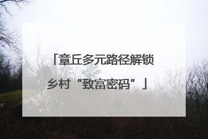 章丘多元路径解锁乡村“致富密码”