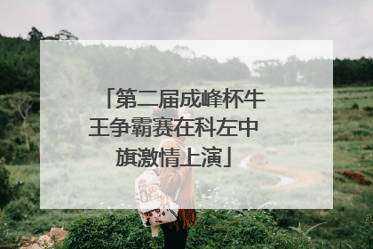 第二届成峰杯牛王争霸赛在科左中旗激情上演