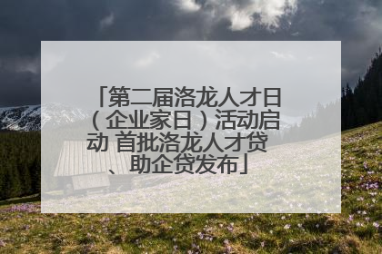 第二届洛龙人才日（企业家日）活动启动 首批洛龙人才贷、助企贷发布