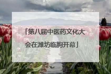 第八届中医药文化大会在潍坊临朐开幕