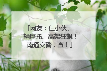 网友：仨小伙、一辆摩托、高架狂飙！南通交警：查！