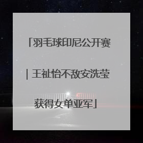 羽毛球印尼公开赛｜王祉怡不敌安洗莹 获得女单亚军