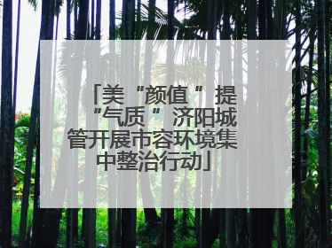 美“颜值 ”提“气质 ”济阳城管开展市容环境集中整治行动