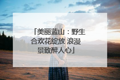 美丽蓝山：野生合欢花绽放 浪漫景致醉人心