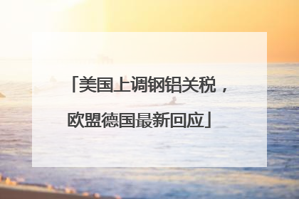 美国上调钢铝关税，欧盟德国最新回应