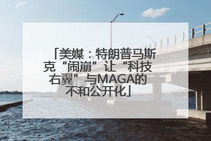 美媒：特朗普马斯克“闹崩”让“科技右翼”与MAGA的不和公开化