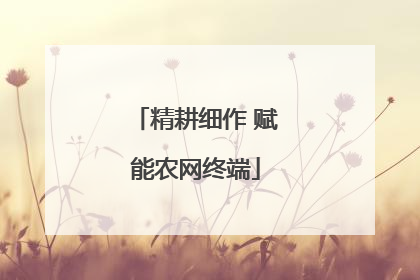 精耕细作 赋能农网终端