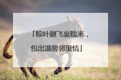 粽叶翻飞裹糯米，包出温馨邻里情