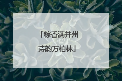 粽香满并州 诗韵万柏林