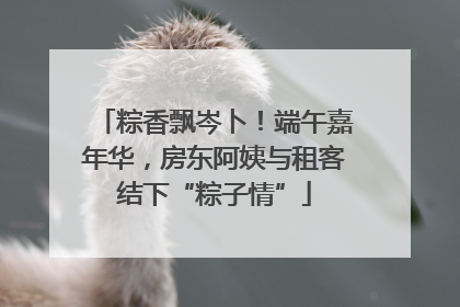 粽香飘岑卜！端午嘉年华，房东阿姨与租客结下“粽子情”