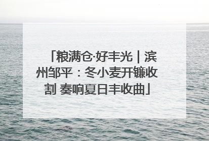 粮满仓·好丰光｜滨州邹平：冬小麦开镰收割 奏响夏日丰收曲