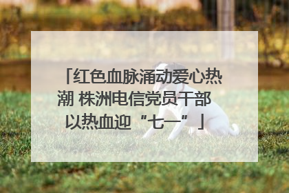 红色血脉涌动爱心热潮 株洲电信党员干部以热血迎“七一”