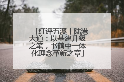 红评五溪丨陆港大道：以基建升级之笔，书鹤中一体化理念革新之章
